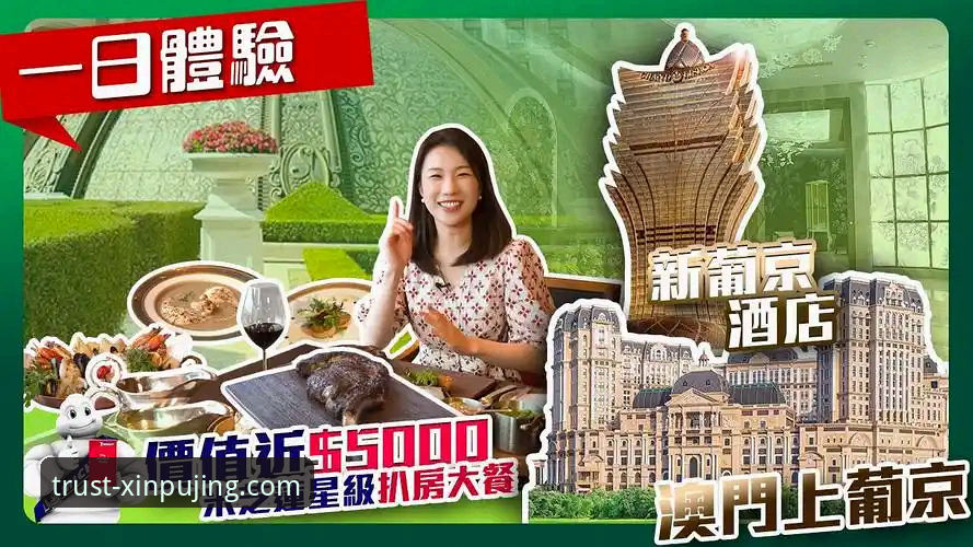 新浦京娱乐平台全面解析：功能、体验与使用指南